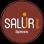 SALUR-group