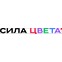Сила Цвета