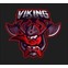 Viking Cyber Arena